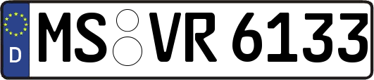 MS-VR6133