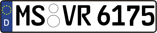 MS-VR6175