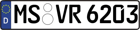 MS-VR6203
