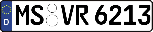 MS-VR6213