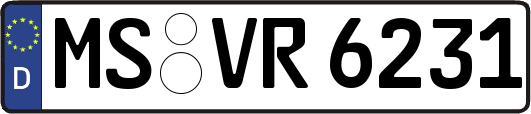 MS-VR6231