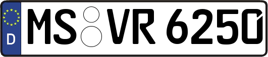 MS-VR6250