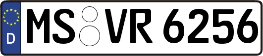 MS-VR6256