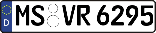 MS-VR6295