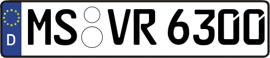 MS-VR6300