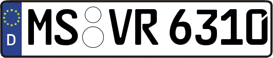 MS-VR6310