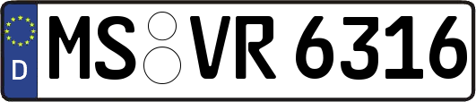 MS-VR6316