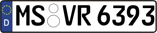 MS-VR6393
