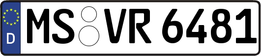 MS-VR6481
