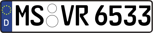 MS-VR6533
