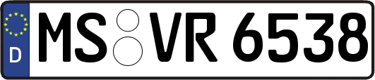 MS-VR6538