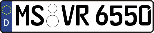 MS-VR6550