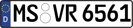 MS-VR6561