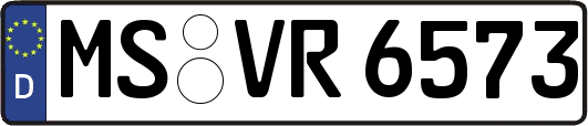 MS-VR6573