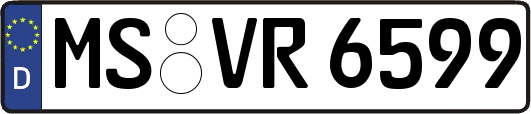 MS-VR6599