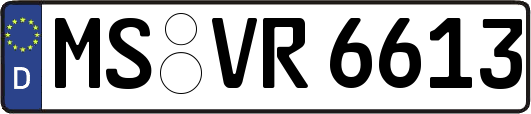 MS-VR6613