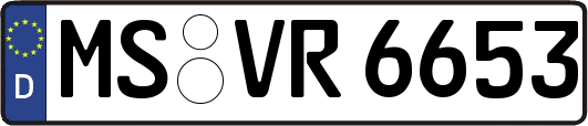 MS-VR6653
