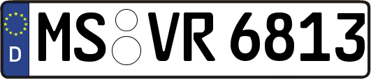 MS-VR6813