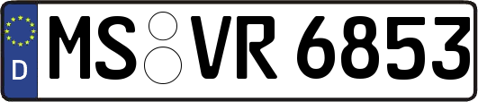 MS-VR6853