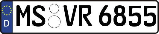 MS-VR6855