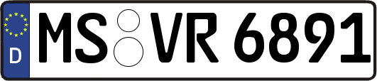 MS-VR6891