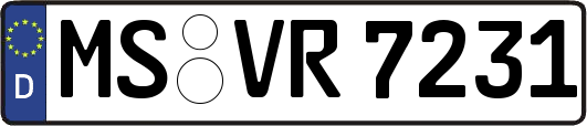 MS-VR7231