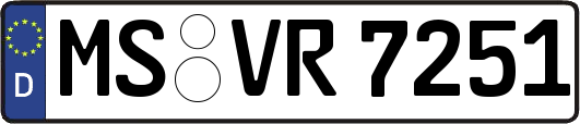 MS-VR7251