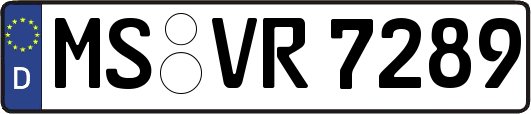 MS-VR7289