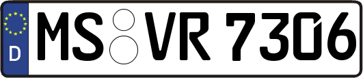 MS-VR7306