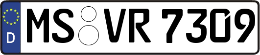 MS-VR7309