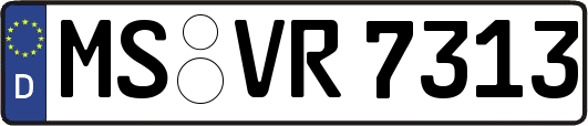 MS-VR7313
