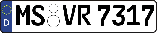 MS-VR7317