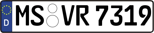 MS-VR7319