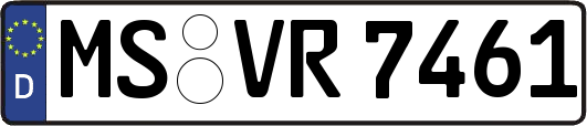 MS-VR7461
