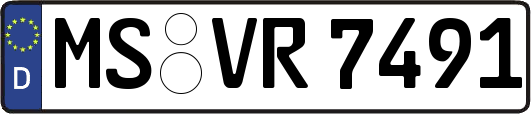 MS-VR7491