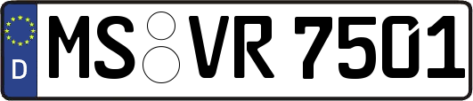 MS-VR7501
