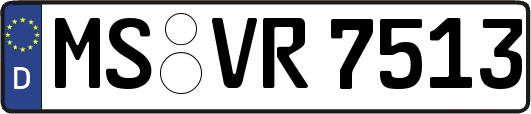 MS-VR7513