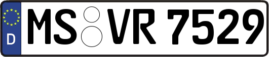 MS-VR7529