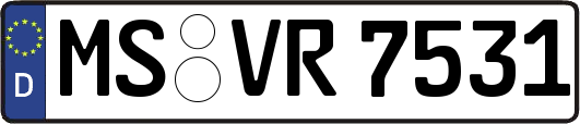MS-VR7531