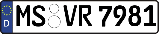 MS-VR7981