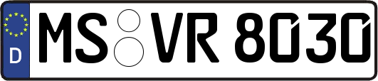 MS-VR8030