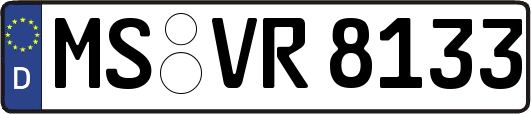 MS-VR8133