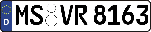 MS-VR8163