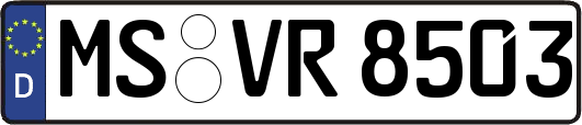 MS-VR8503