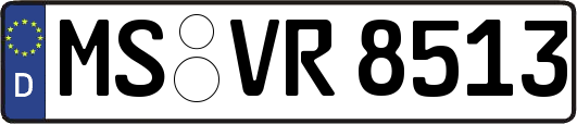 MS-VR8513