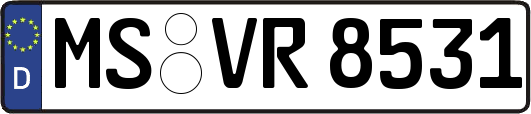 MS-VR8531