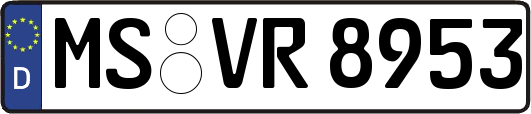 MS-VR8953