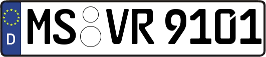 MS-VR9101