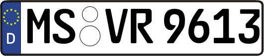 MS-VR9613