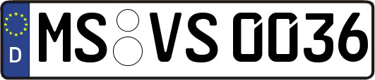 MS-VS0036